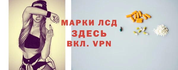 СК Алексин